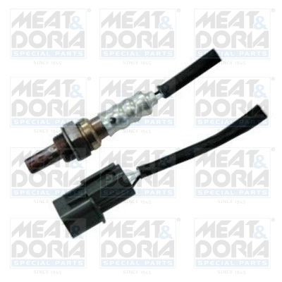 Oxygen Sensor